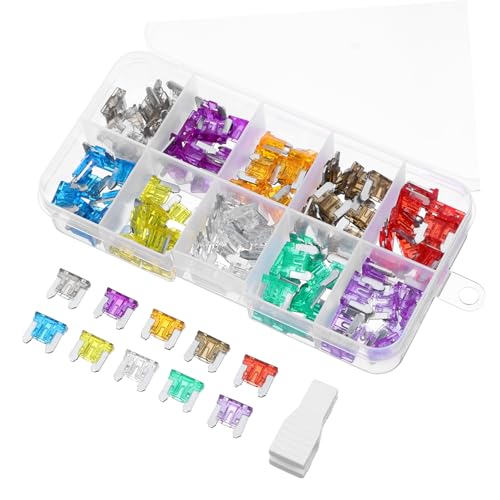 Ciieeo 120 piezas Kit de fusibles automotrices con sistema de identificación rápida para coche, RV, barco y camión