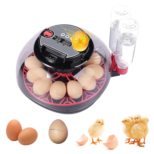 Brutautomat Vollautomatisch für 12 Eier Hühner Inkubator Intelligenter Brutmaschine mit Automatischer Eierwender, Temperaturkontrolle und Feuchtigkeitsdisplay, Eierdurchleuchter und Wasserversorgung Brutautomat Vollautomatisch für 12 Eier Hühner Inkubator Intelligenter Brutmaschine mit Automatischer Eierwender, Temperaturkontrolle und Feuchtigkeitsdisplay, Eierdurchleuchter und Wasserversorgung