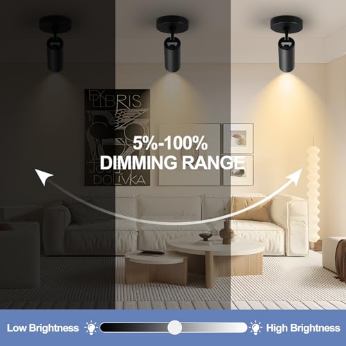 Image of Black Led Ceiling Spot Lights 5CCT Selectable Dimmable led Spot Lights Indoor 12W, CRI90 Adjustable Flush Mount Fixture 24 Accent Lighting 2 Packs