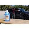 GOLDEN SHINE Clean & Clear Glass Cleaner, 1 Gallon 49128