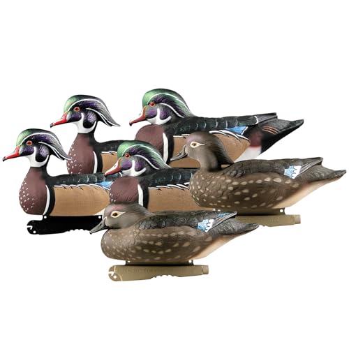 Avery GHG Pro-Grade Wood Duck Decoys, 6-Pack | Realistic Durable Waterfowl Hunting Floating Duck Decoys with 60/40 Forward Weighted Swim Keel | 4 Body Positions, Male & Female Ducks (73135)