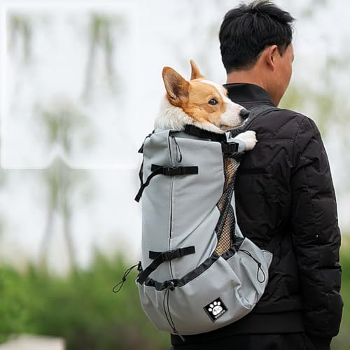 Mochila ventilada para perros medianos con diseño ergonómico de cabeza fuera 4