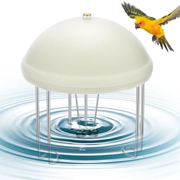 best battery operated bird bath heater