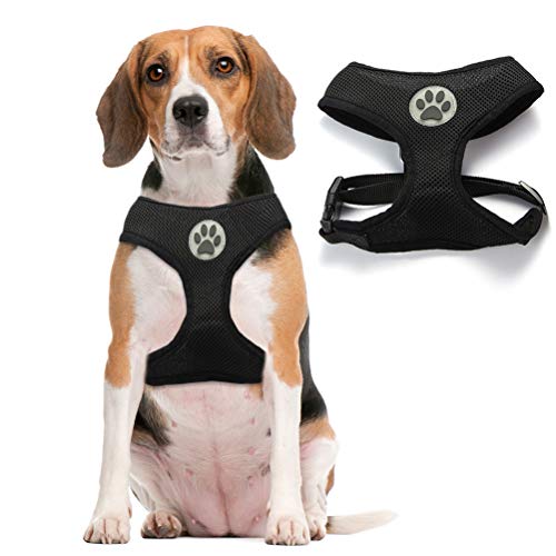 Best Bingpet Harness For Dogs