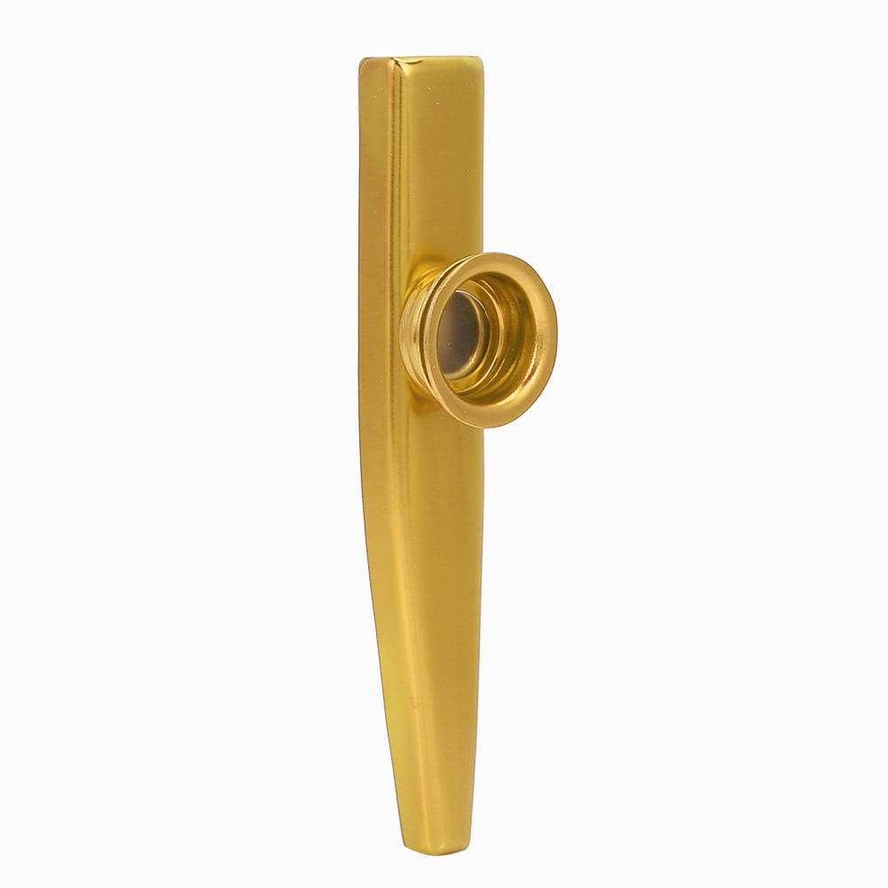 Dilwe Kazoo, mini partner gitarowy, ukulele, przenośny, instrument muzyczny, zabawka dla dzieci, (złoty)
