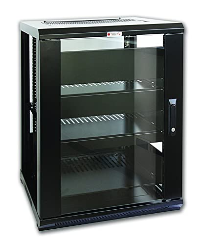 Techly Professional 026531 Armadio Rack 19' 600x600 15U per Audio Video Nero Nero