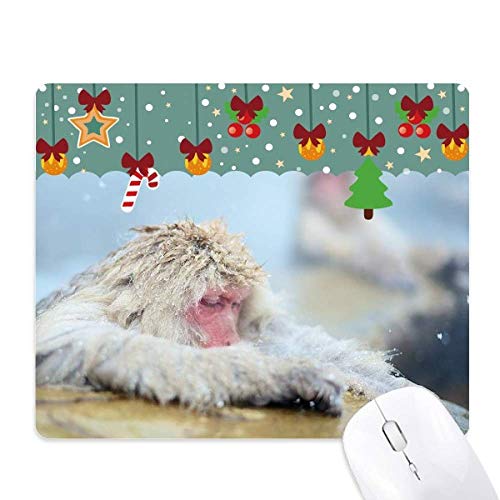 Tapis de souris singe caoutchouc pour photographie et retouche photo