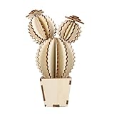 Adorabile cactus decorativo: forma realistica del cactus, buon effetto decorativo, decorazione d'interni