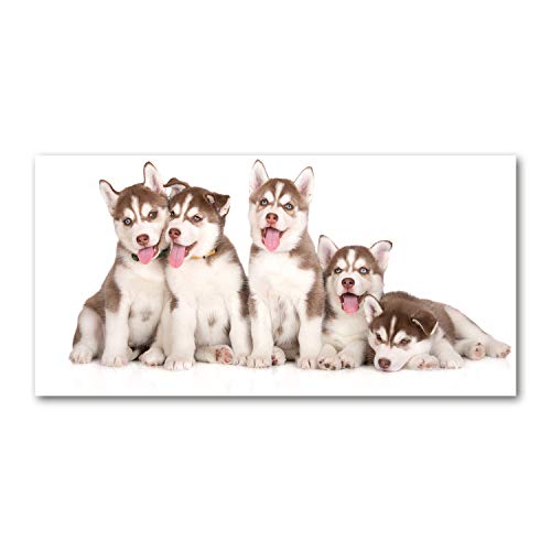 Tirages sur toile de lin animaux décoration murale salon tableau husky marron 120x60cm