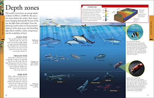 Ocean a Children's Encyclopedia