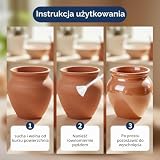 FloraVigo Uszczelniacz do gliny i warnish (70 ml) – wodoodporny i nie zawiera rozpuszczalników, Air-Drying, może być używany jako uszczelniacz ceramiczny i glazura bez lakierowania, tworzy błyszczące