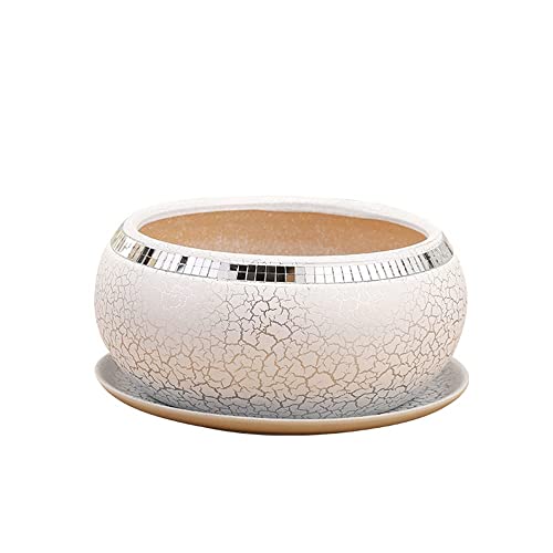 Pot de fleurs rond en céramique blanche YRYRYW pour plantes d'intérieur