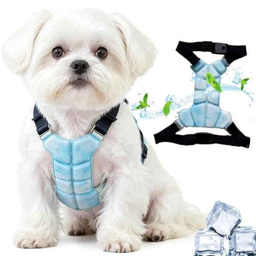 Gilet Rinfrescante Per Cani - Giacca Imbracatura Regolabile Anti-Calore |