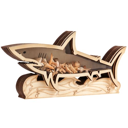 Shark Tooth Display Case - 8.8 Inch Wooden Shadow Box Holder for Collectors Perfect for Beach Decor and Gift