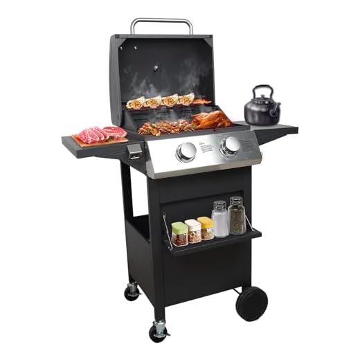 2 Burner BBQ Gas Propane Grill, 20000 BTU Portable Outdoor Grill for Camping Cooking Kitchen, Small Stainless Steel Barbecue Propane Grills for Patio/Deck/Backyard/Garden