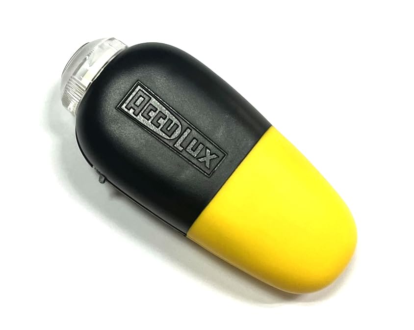 Lampe à main LED 2000 rechargeable AccuLux éclairage puissant