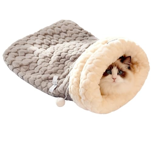 L xbh ~p LpnEX  xbh h[ ybg NbV Lpzc L̉ 킢 ybgpi ybgpi ΍ (L,O[̐Q)