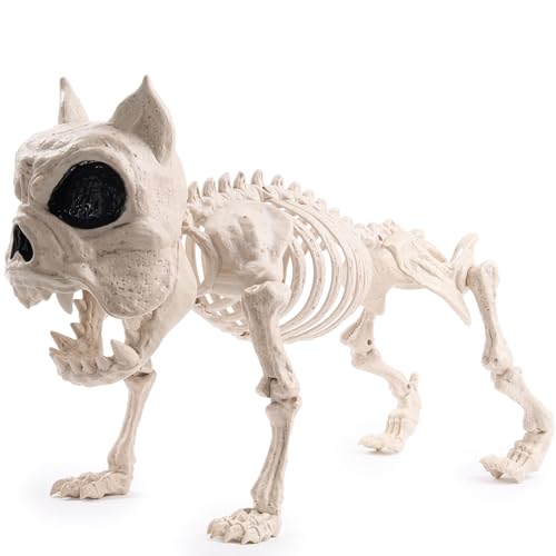 JOYIN 16 'Halloween Poseable Cachorro Esqueleto Pose-N-Stay Plástico Perro Huesos para Halloween Interior Exterior Decoración Escena Espeluznante Favores de Fiesta Decoración