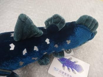 沼津港深海水族館限定・シーラカンスフィギュア　カロラータ社製 沼津港深海水族館限定・シーラカンスフィギュア カロラータ社製