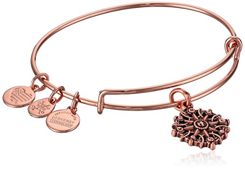 Preisvergleich Produktbild Alex and Ani - Messing