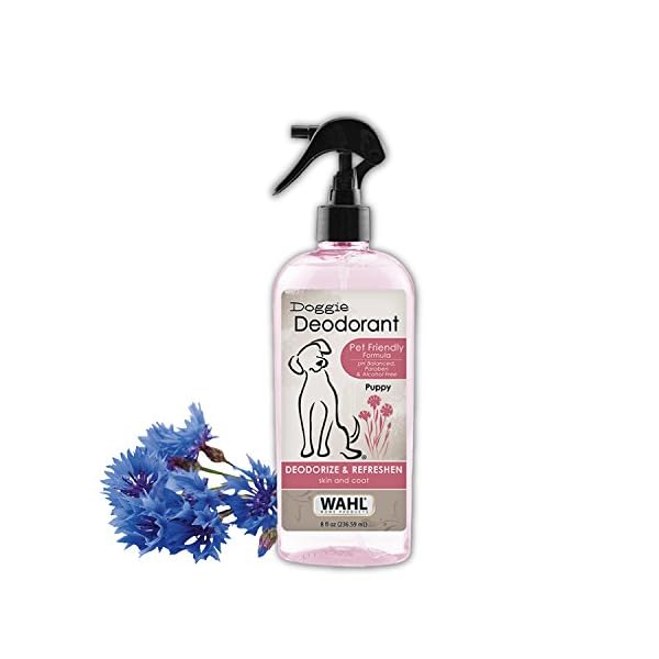 Wahl Cornflower Aloe Pet Deodorant Spray for All Dogs & Cats – Clean Fresh Smell Refreshes & Deodorizes – 8 oz - Model…