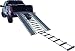 Traction Ladder