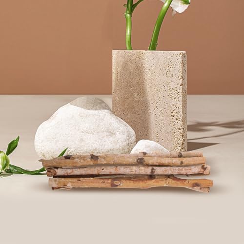 Accessoires photographiques professionnels branches de bois naturel DOITOOL 6pcs