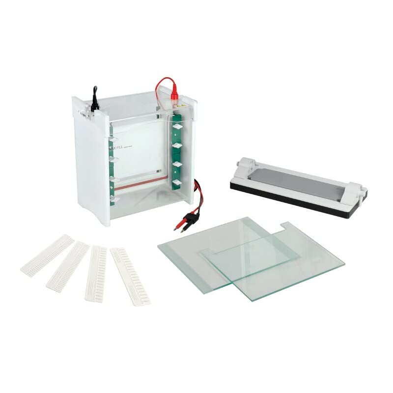 Vertical Electrophoresis System Tank (FSF-SCZ9)