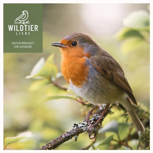 wildtier liebe Vogelfutterspender 26cm, Schwarz - Erdnussfutterspender aus rostfreiem Metall, Vogel Futterstation, Futtersäule, Nüsse Erdnüsse, Wildvögel Futtersilo