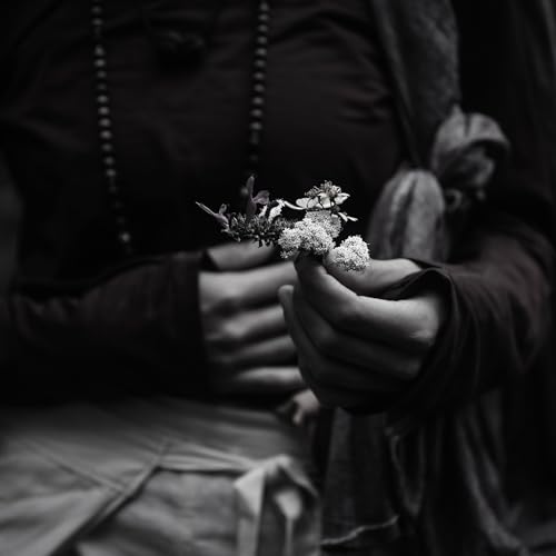 No somos parte de la naturaleza: Somos Naturaleza