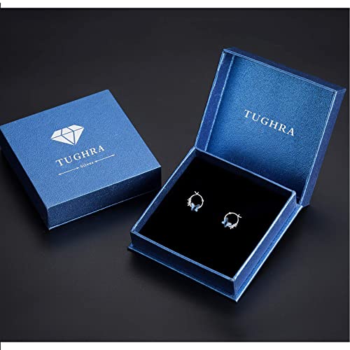 Sterling Silver Butterfly Earrings Cute Daisy Huggie Hoop Earrings Blue Crystal Butterfly Hypoallergenic Earrings Jewelry Gifts For Women Girls Christmas Birthday #TOP6