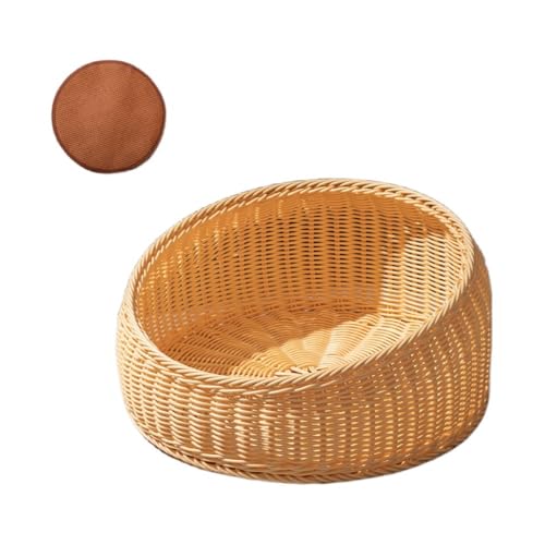 Klivex LbgnEX h[^LnEX Lxbh L L nEX   Lp LbgnEX LnEX xbh  ^ې ٔLlGjo[TْʋC Ă̔LpN[xbh (x[Wippbhtj,8k