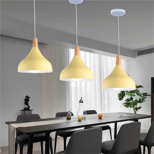 Lámpara colgante industrial E27 de techo regulable para comedor 2
