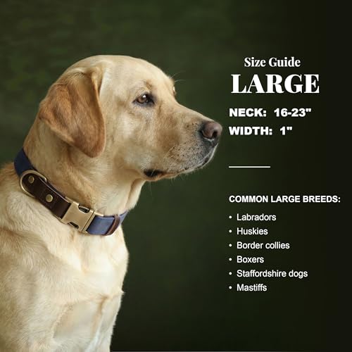 Image of Didog PU Leather Dog Collar for Large Dogs, Soft Nylon Lining, Blue L