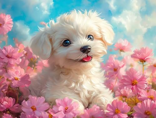 Pintura por numeros adultos de perro Bichon frise kit DIY 60x80 cm