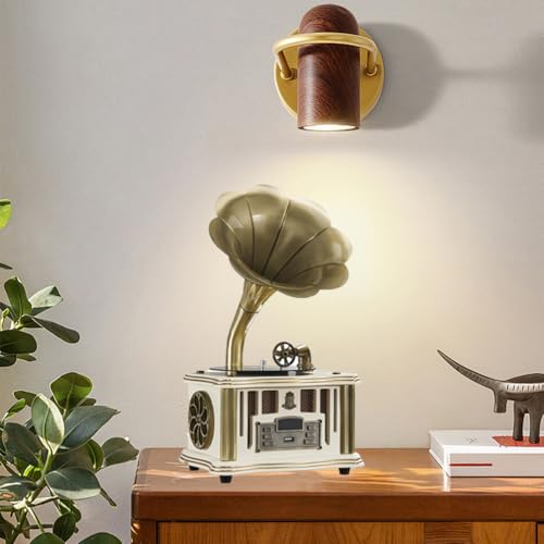 Gramophone Vintage Rétro Idée Cadeau Originale, Mini Enceinte Bluetooth Rechargeable USB-C
