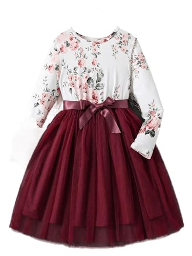 Image of Tior Baby-Girls Girls Dress | Dresses for Girl| Kids Frock for Kids|
