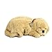 Perfect Petzzz - Perro de Peluche (10x23x19 cm) (CD 3 4908)