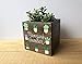Personalized Succulent Wood Garden Box, Handmade Gift for Plant Lover, Custom Birthday Gift
