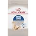 ROYAL CANIN FELINE HEALTH NUTRITION INDOOR ADULT DRY CAT FOOD 3 LB