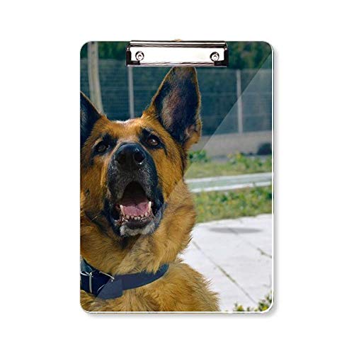 Bloc-notes A4 pour photo de chien pour garder votre compagnon près de vous