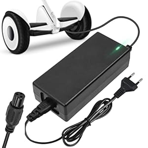 Ainiv 42V 2A Ladegerät für Scooter
