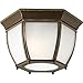 Progress Lighting P6020-20 GU24 Flush Mount, 1-13-watt