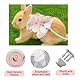 GGUFAY Kaninchen Leine, Verstellbares Kaninchen zubehoer, 120cm Weiches Kaninchen Leine, Hasen zubehör mit Elastischer Leine, katzenleine mit Geschirr für Kleintiere Hasen Katzen Outdoor Gehen(B)