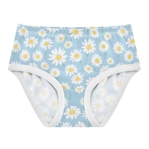 Wusikd White Daisies Girls' Underwear Cotton Blue Girls Briefs Soft Toddler Underwear 2T