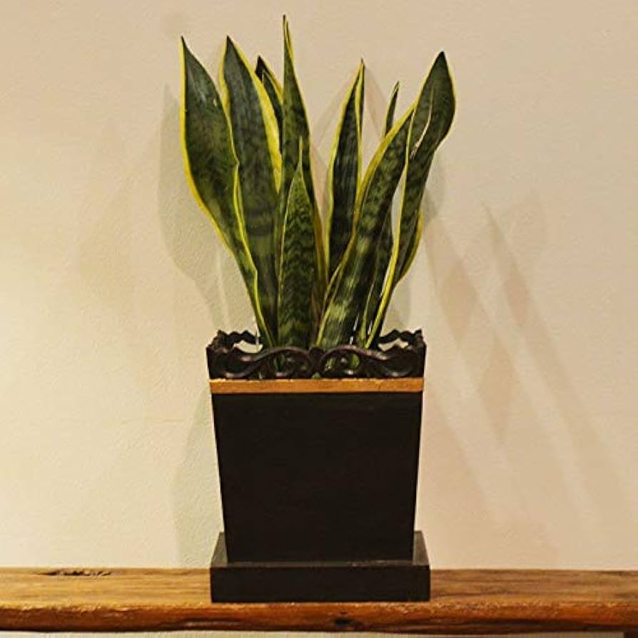 バリ島家具　室内用鉢カバー 164442540_1.jpg