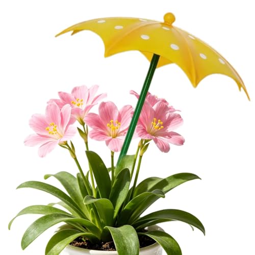 Generisch Garden Parasol for Plants - Portable Mini UV Protection - Plant Umbrellas as Shade Dispenser, for Garden Picnic Outdoor on the Balcony Party Camping even in Rain Pool and at the
