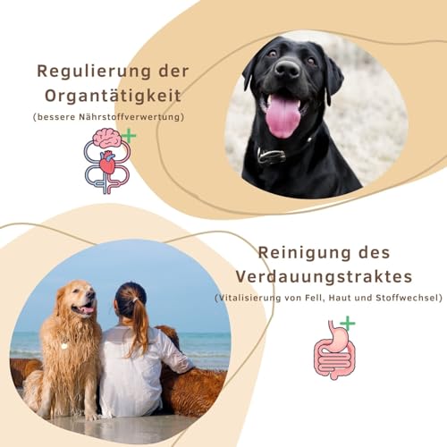 Markus-Mühle NaturNah Hundefutter, Kaltgepresst mit Hühnertrockenfleisch, Vollkornmais und Wild, 15 kg (15kg Markus Mühle Naturnah, + 50g Naturpfötchen Bleibfit Kräuter)
