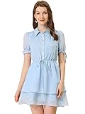 Allegra K Women's Peter Pan Collar Floral Drawstring Chiffon Layered Dress Blue X-Small