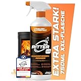 GLORYPROTECT Kaminscheibenreiniger Klare Sicht 750ml XXL Flasche | Entfernt Ruß | Starker Reiniger für Kaminglas & Ofenglas | Sofortwirkung bei verrußter Scheibe, löst Fette & Verschmutzung